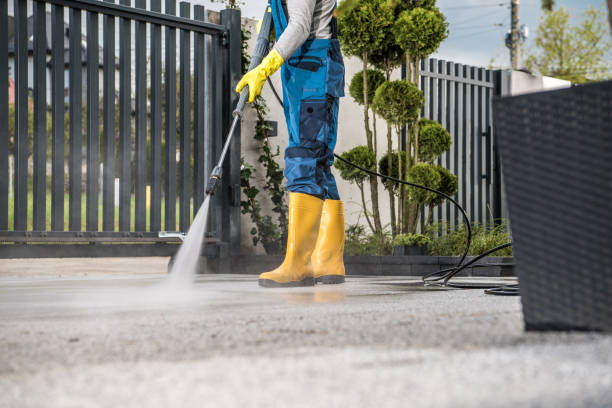Best Fence Cleaning and Maintenance in Toccoa, GA